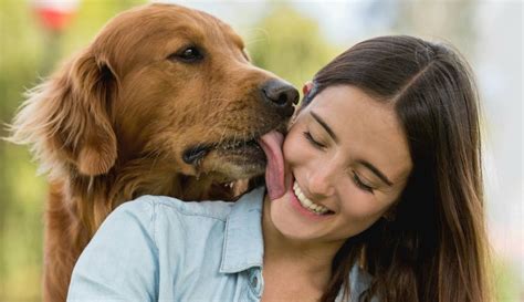 sexo mujer con perro|Mujeres Follando con Perros .